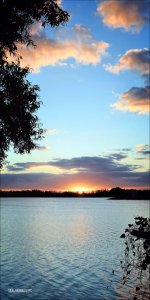 DSC_0045.jpg