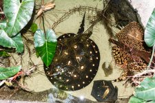 Tn-Aquarium-2667.jpg