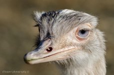 DSC_1745.jpg