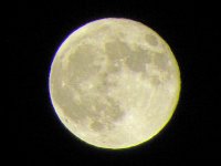 T-10 029_edited-1.jpg
