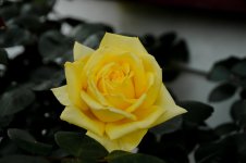 DSC_5792.jpg