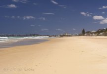 NEW_1517_webshot.jpg