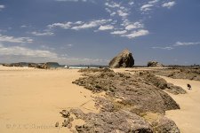 NEW_1519_webshot.jpg