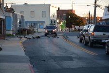 DSC_3250.jpg