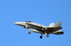 DSC_0442.jpg