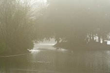 DSC_0206.jpg