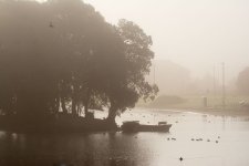 DSC_0208.jpg