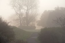 DSC_0210.jpg