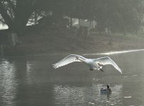 DSC_0267.jpg