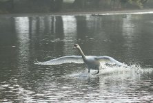 DSC_0270.jpg