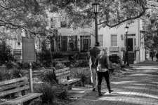 D71_1689-Edit.jpg