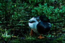 DSC_3312.jpg