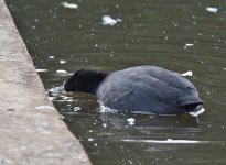 DSC_0229.jpg