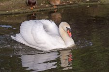 DSC_0253.jpg