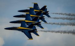 DSC_3915.jpg