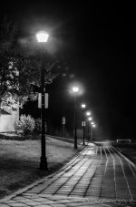 DSC_1783.jpg