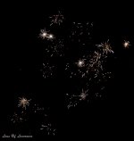 Fireworks real crappy.jpg