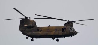 DSC_0477.jpg