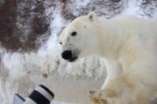 close encounter.jpg