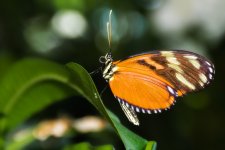 Tn-Aquarium--9.jpg