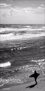 Surfs Up.jpg