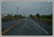 DSC_0092-001.jpg