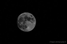 DSC_1819.jpg