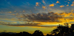 DSC_5798.jpg