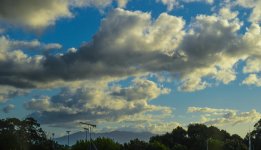 DSC_5800.jpg