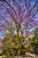 NEW_1762_HDR_webshot.jpg