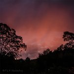 Sunset 6th Nov 2014_webshot.jpg