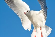 DSC_0412.jpg
