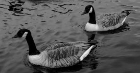 DSC_3473.jpg