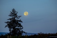 _6000662 (999x667).jpg