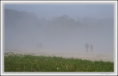 fog2011.jpg
