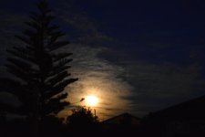 DSC_5747.jpg