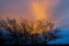 DSC_1541.jpg