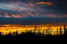 DSC_1544.jpg