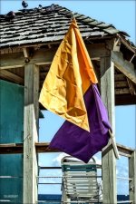 Beach Flags DFB.jpg