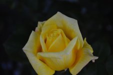 DSC_5887.jpg