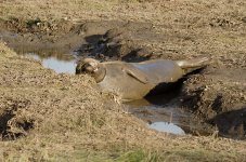 DSC_4038.jpg