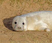 DSC_4291.jpg