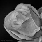 DSC_1902.jpg