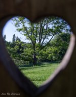 View through a heart.jpg