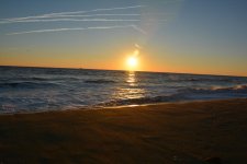 DSC_4319.jpg