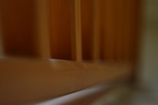 DSC_5995.jpg