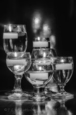 NEW_2081_B&W_webshot.jpg