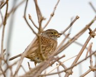 DSC_0721.jpg