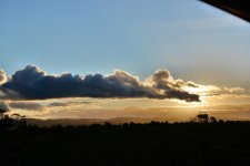DSC_5691.jpg