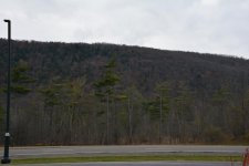 DSC_4331.jpg